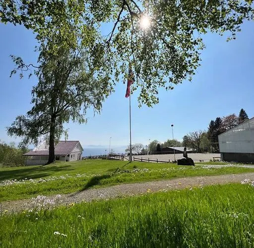 Moldegaard - C